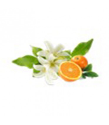Ätherisches Öl 10ML CYPRES (Seite 8)