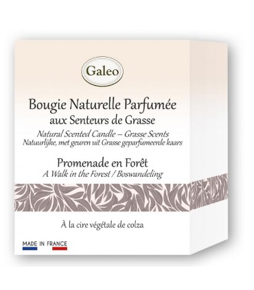 KAARS NATURELLE PROMENADE EN FORET